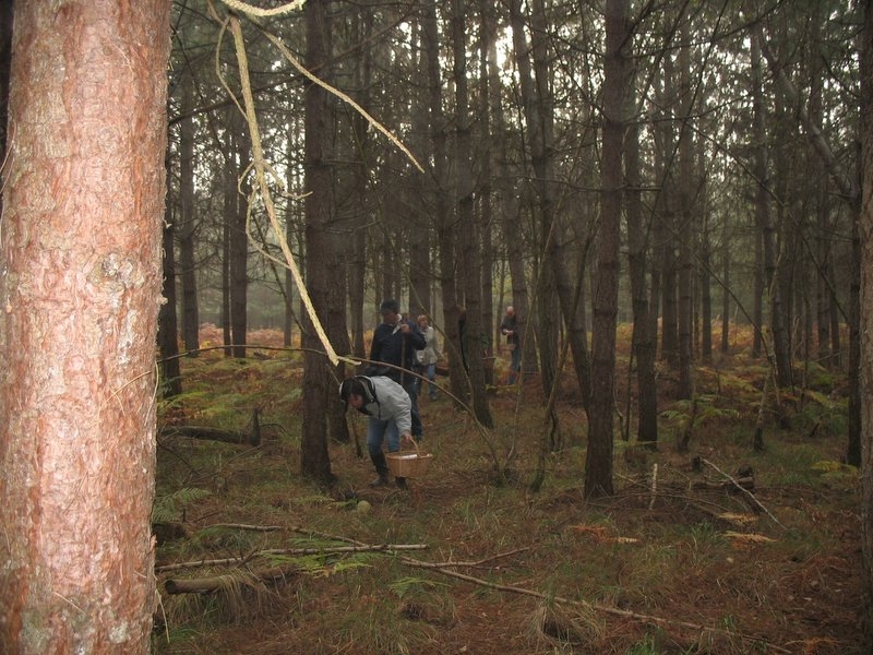 2006 11 Mycobocquet 09